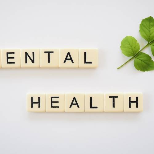 Factores que Afectan la Salud Mental en la Vejez